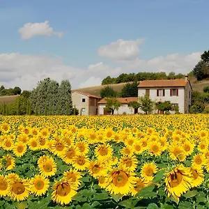Casa Roberta Casa vacanze